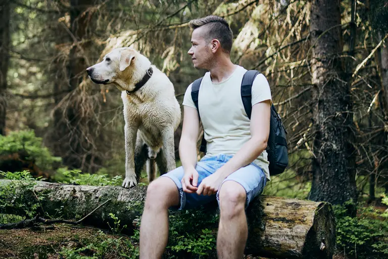Man sitting on a log with his dog in the forest.